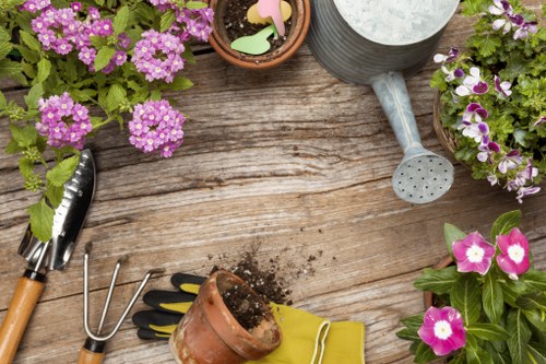 Safe tree removal and stump grinding service in Stratford