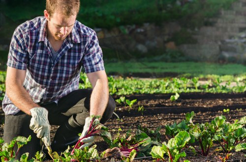Gardeners Stratford team focused on careful garden maintenance