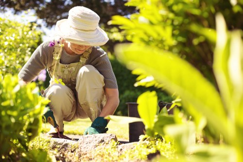 Illustration representing accessible Gardeners Stratford content