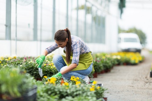 Professional gardening services in Stratford for tidy lawns and borders