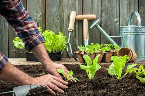 Image showing a formal complaints review for gardening services