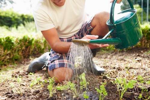Garden maintenance in Stratford with tidy lawn and trimmed borders