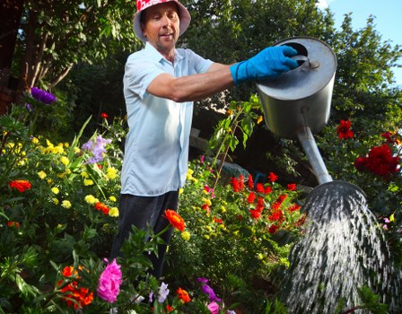 Free quote policy for Gardeners Stratford services