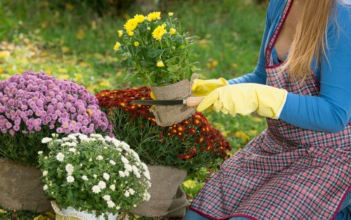 Lawn care maintenance in Stratford with mowing and fertilizing equipment