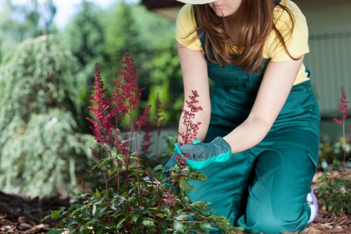 Professional lawn mowing service handling a Stratford yard