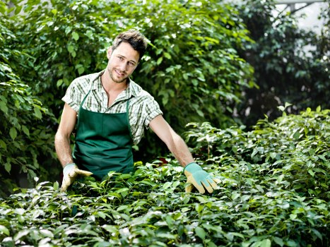 Garden maintenance in Stratford with hedges and tidy borders