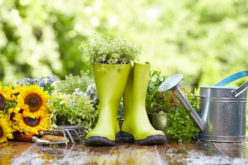 Regular hedge care in Stratford improving garden appearance and privacy