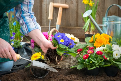 Professional garden care in Stratford for hedges and planting beds