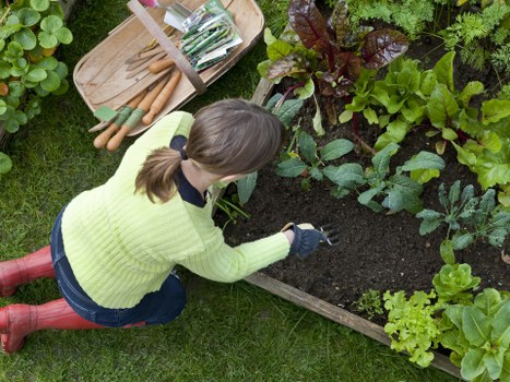Planning a landscape gardening project in Stratford with borders