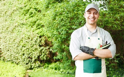 Commercial gardening services in Stratford for neat business grounds