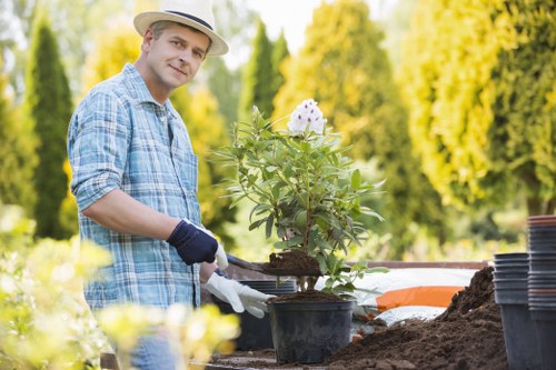 Local tree surgery service maintaining healthy trees in Stratford