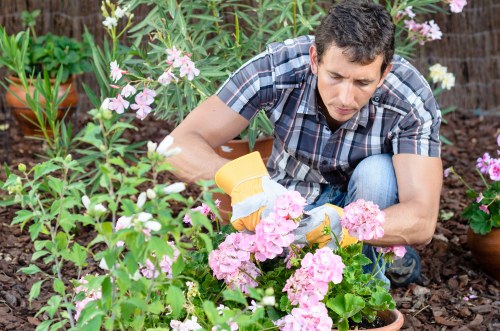 Residential gardening services in Stratford for healthy outdoor spaces