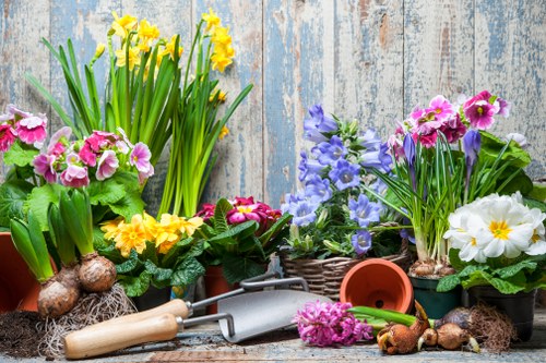 Seasonal gardening services in Stratford for year-round garden upkeep