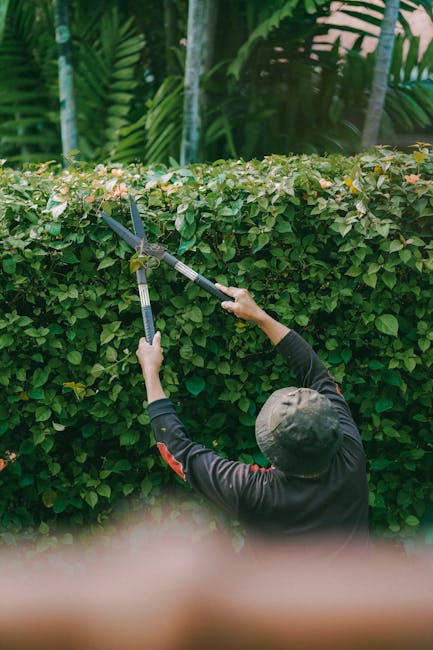 A gardener wearing black gardening gloves is using pruning shears with blue handles to trim thin, leafless brown branches in a garden. The background shows a blurred wooden fence or dense trees, indic