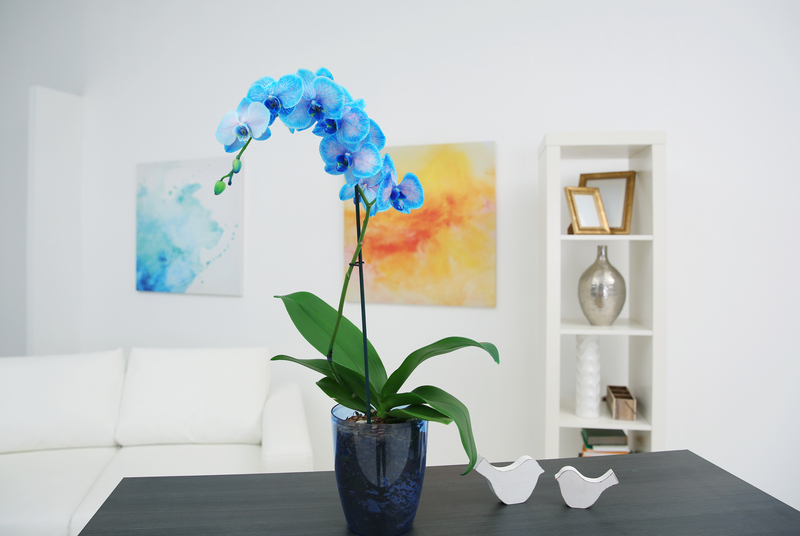 garden design landscape design